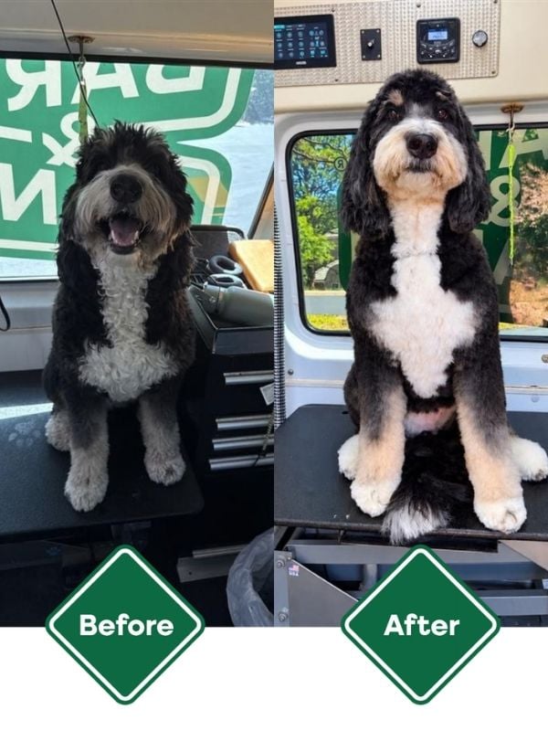 before after clara