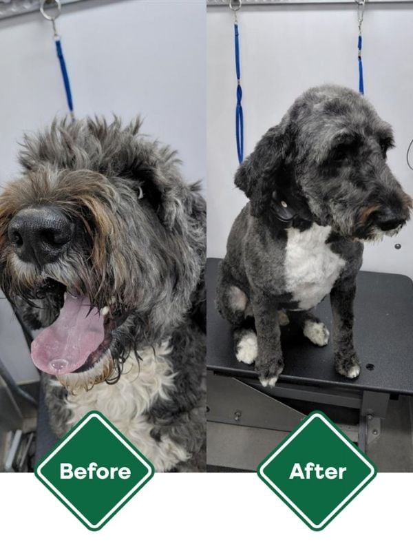 before after lucky