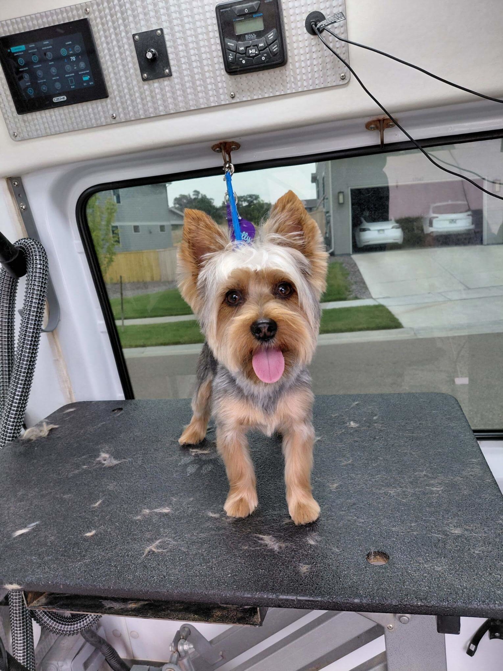 Charlie after (2)