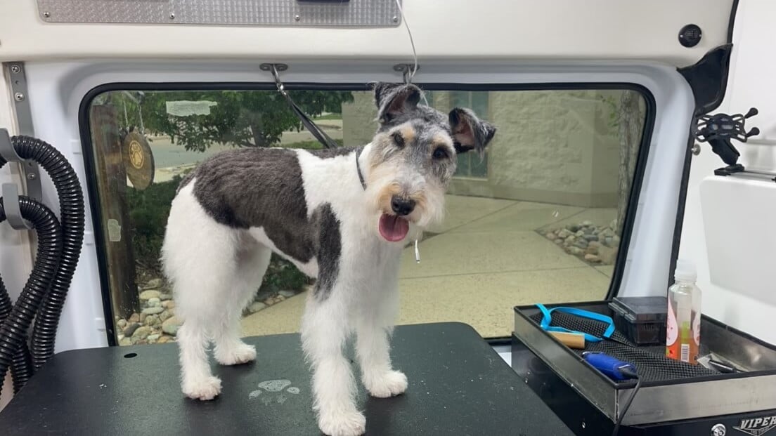 Penny_Highlands Ranch