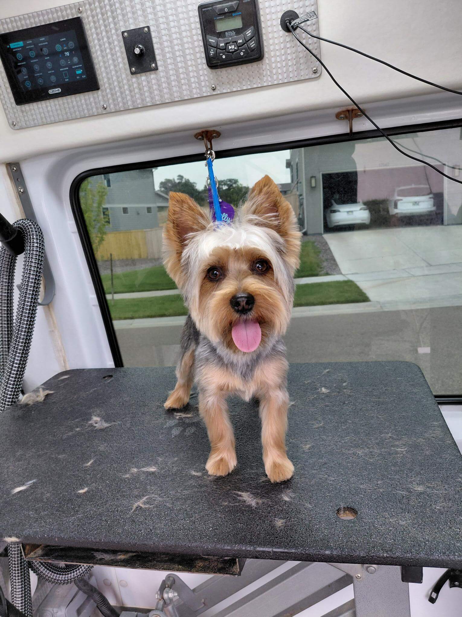 Charlie after (2)