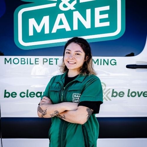 Reno - Arianna Cruz