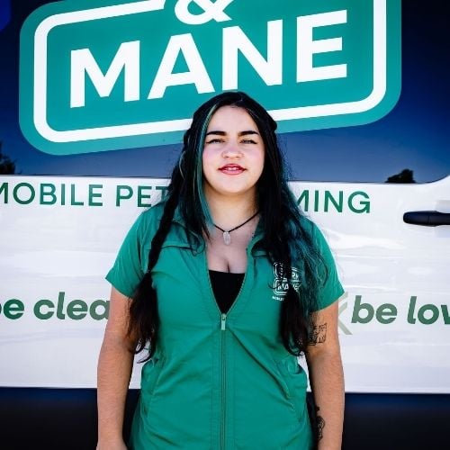 Reno - Elaya Pineda