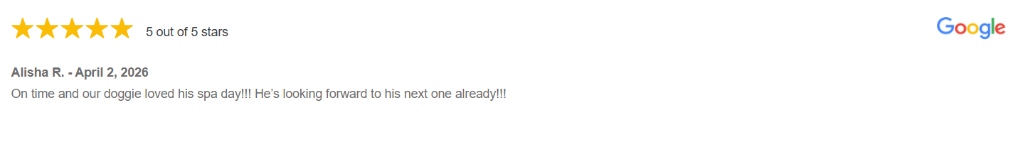 Alisha R Google Review