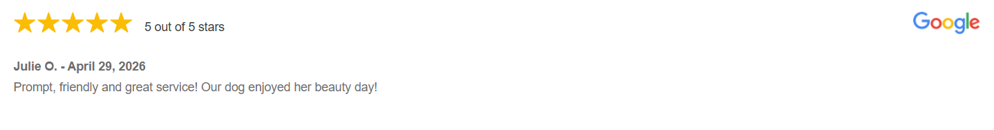 Julie O Google Review