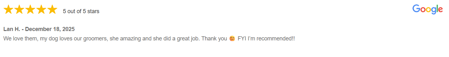 Lan H Google Review