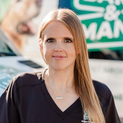 Brittany M - Groomer