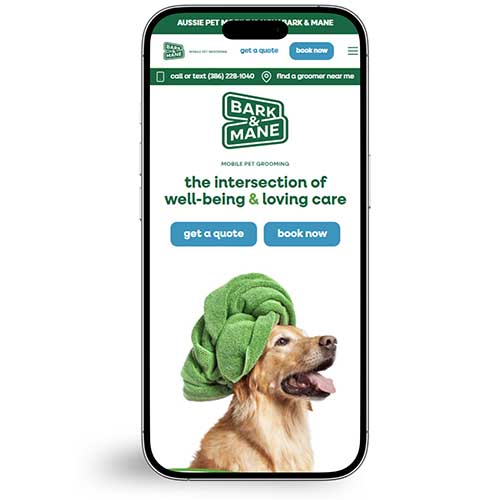 book-online-ribbon-flow-homepage-phone