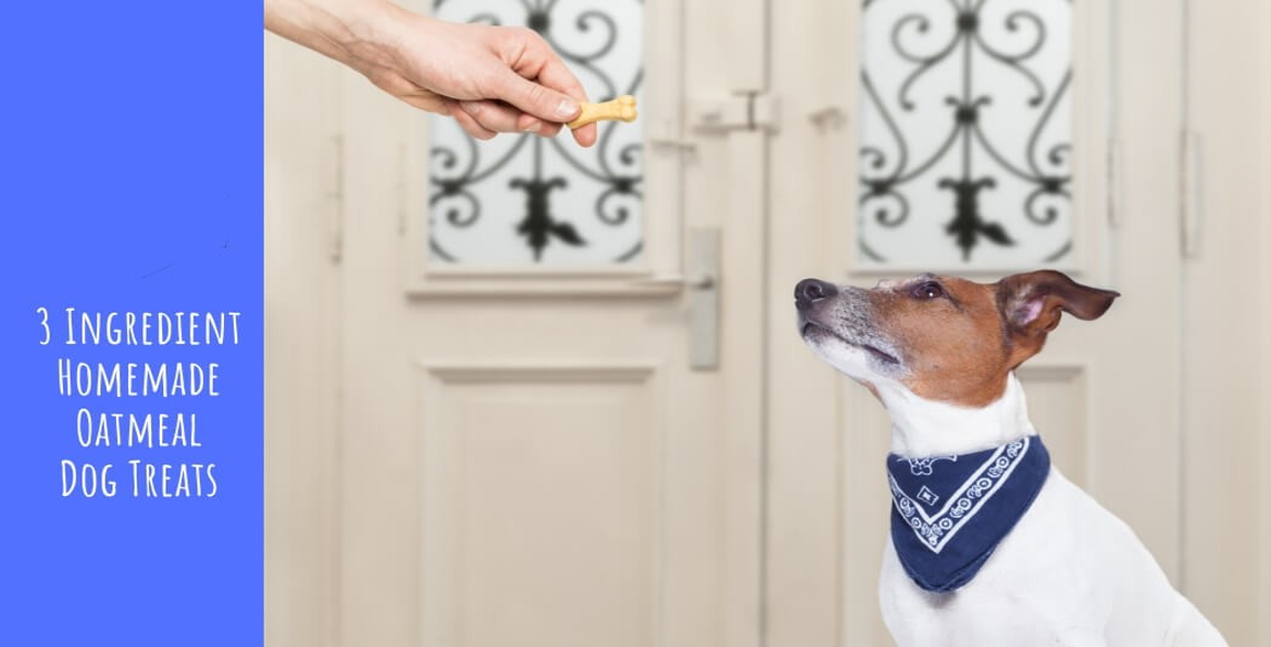 Thumbnail Image for 3 Ingredient Homemade Oatmeal Dog Treats