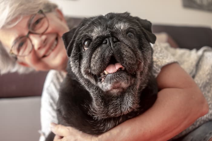 Thumbnail Image for 7 Ways to Keep Your Senior Dog Healthy & Happy