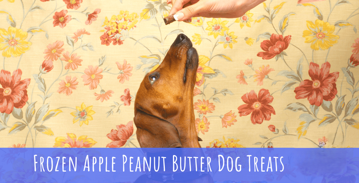 Thumbnail Image for Frozen Apple Peanut Butter Dog Treats