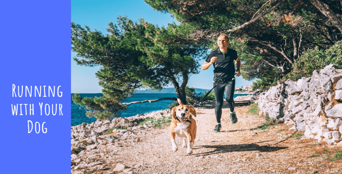 Thumbnail Image for Running with Your Dog