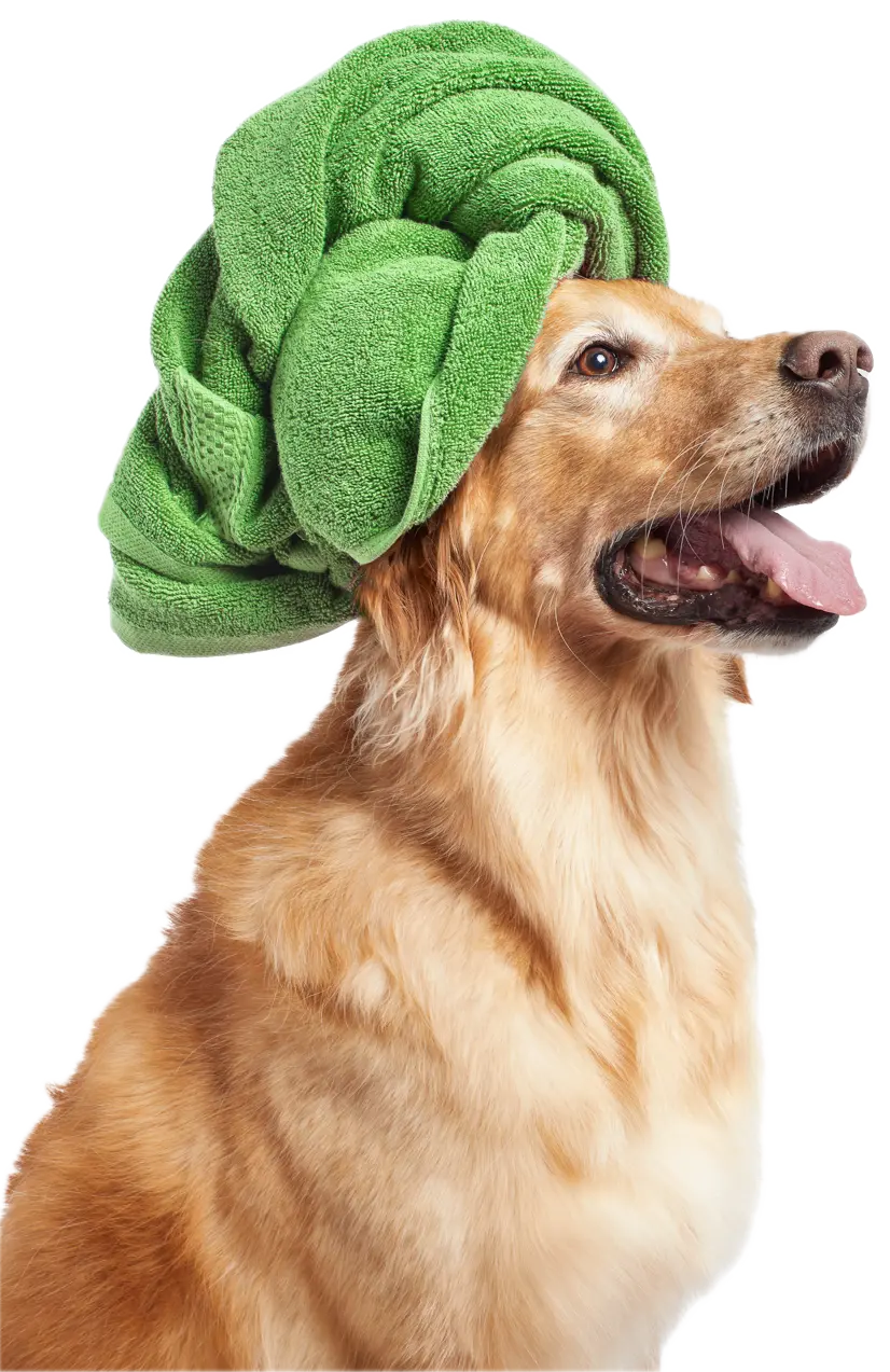 HP_Hero_dog towel-Homepage1